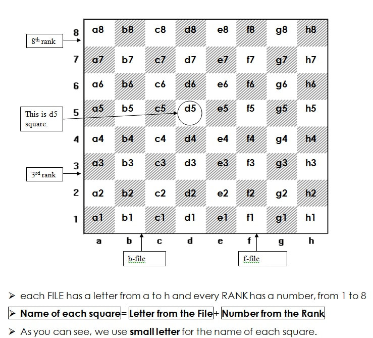 Chess Coordinates